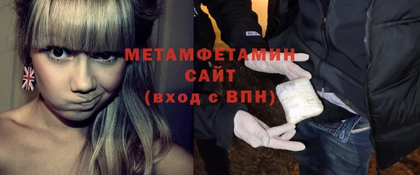 ГАЛЛЮЦИНОГЕННЫЕ ГРИБЫ Вяземский