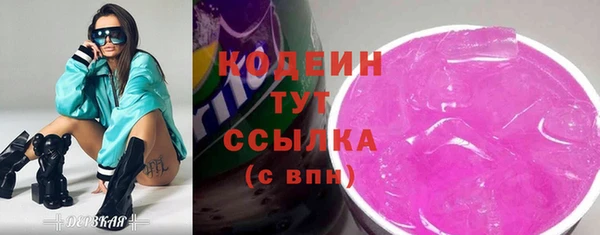 ГАЛЛЮЦИНОГЕННЫЕ ГРИБЫ Вяземский