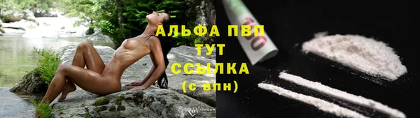 ГАЛЛЮЦИНОГЕННЫЕ ГРИБЫ Вяземский
