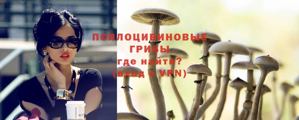 ГАЛЛЮЦИНОГЕННЫЕ ГРИБЫ Вяземский