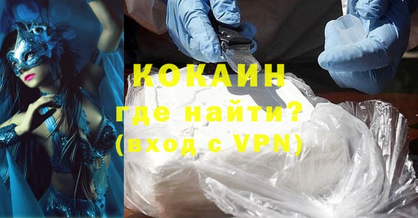 ГАЛЛЮЦИНОГЕННЫЕ ГРИБЫ Вяземский