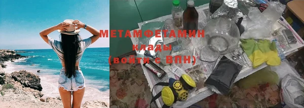 ГАЛЛЮЦИНОГЕННЫЕ ГРИБЫ Вяземский